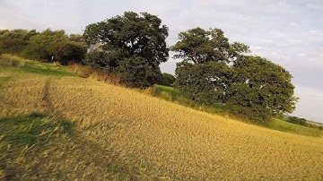 The Golden Hour (Betaflight 3.5.0)