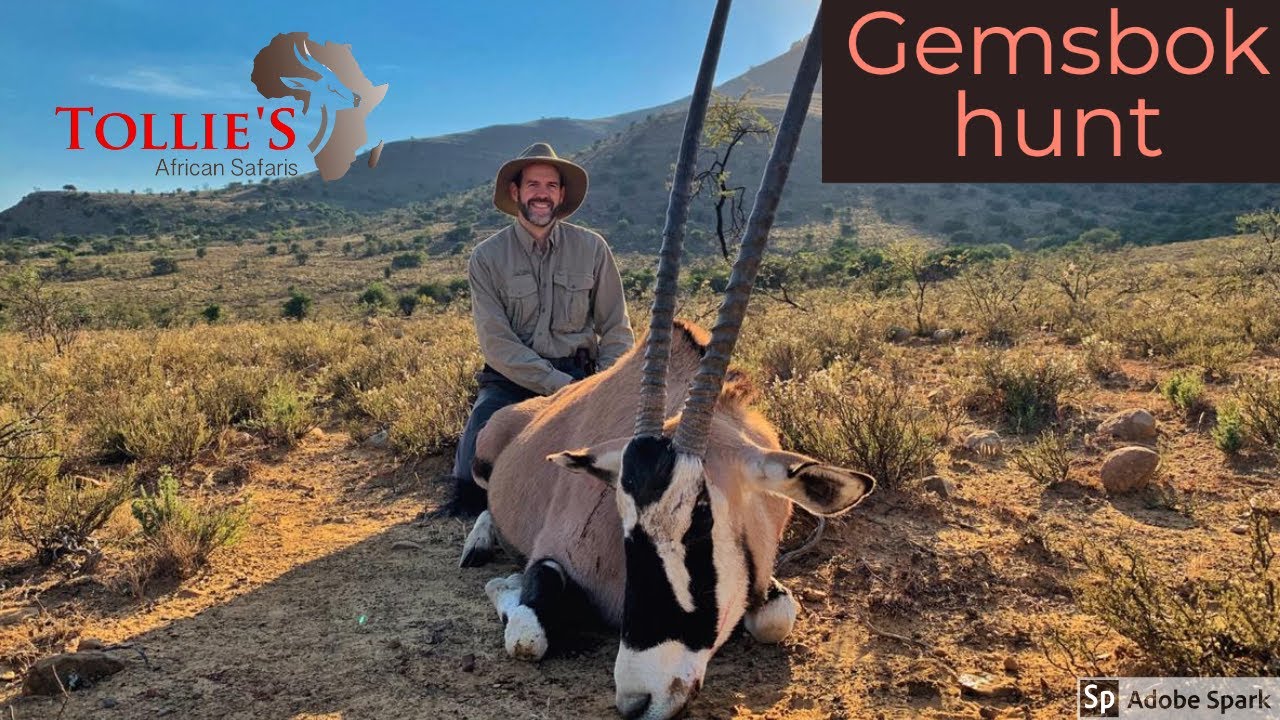 Hunting in Africa Gemsbok Hunt at Tollies African Safaris YouTube
