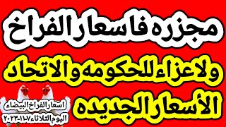 اسعار الفراخ البيضاء اليوم/ سعر الفراخ البيضاء اليوم الثلاثاء ٧-١١-٢٠٢٣ في مصر