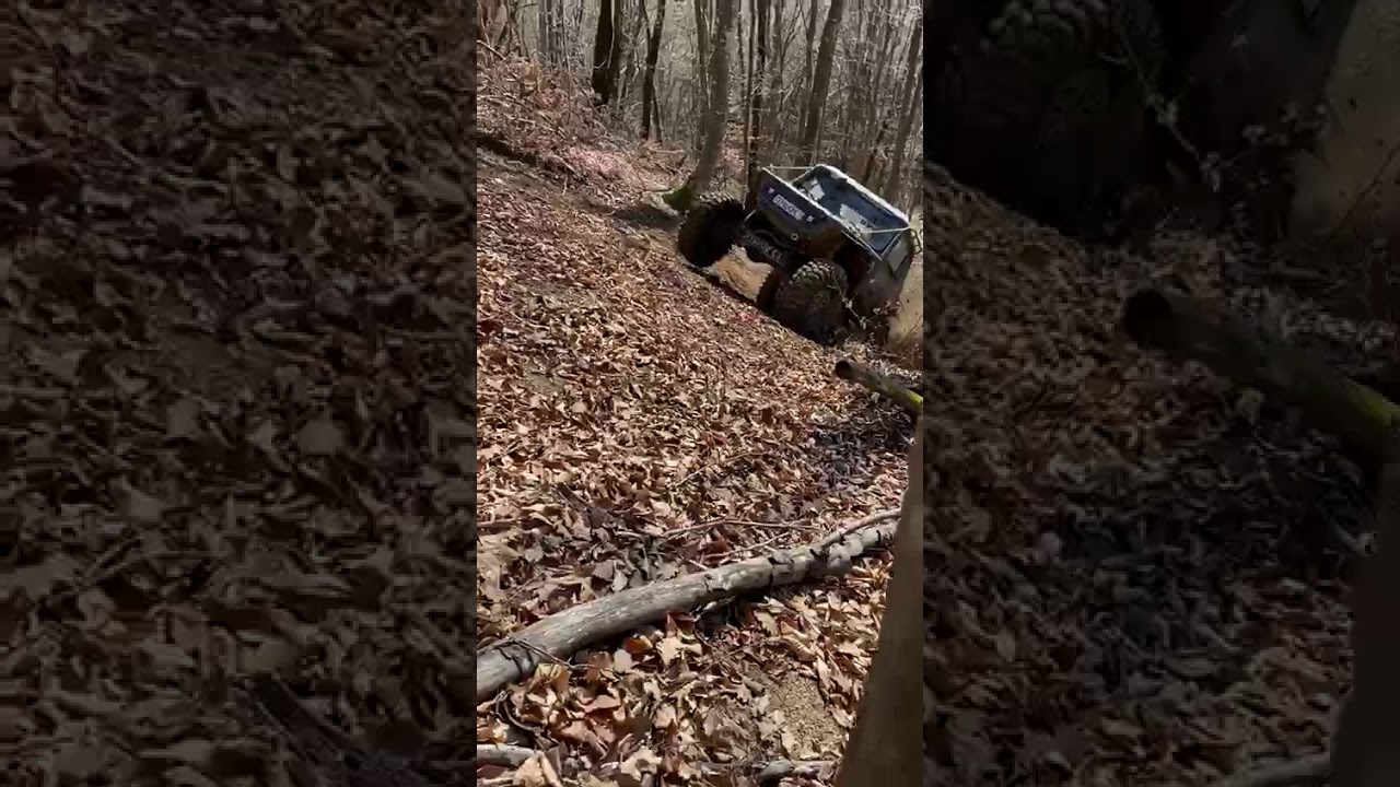 Тот же зверюга идёт на подъём