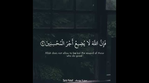 (قالوا أإنك لأنت يوسف قال أنا يوسف وهذا اخي قد من الله علينا)سورة يوسف_اسلام صبحي (حالات واتساب )