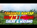 CUMAN TANAH INI YANG MURAH, DAPAT VIEW KE GUNUNG PULA!! || PALASARI SUKABUMI || INFO PROPERTY