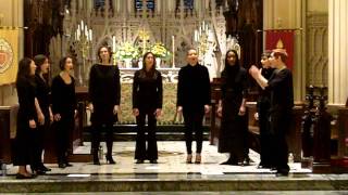 Download Lagu Tavunga (Bardos) sung by Accord Treble Choir MP3