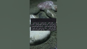 تلاوة تهز القلوب من سورة يس 🌙