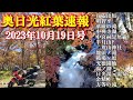 【奥日光紅葉2026の参考に】2023年10月19日版「いろは坂」から「金精峠」まで紅葉スポット紅葉具合！明智平・中禅寺湖・華厳の滝・竜頭の滝・方等の滝・戦場ヶ原・光徳園地・湯ノ湖・奥日光湯元温泉など