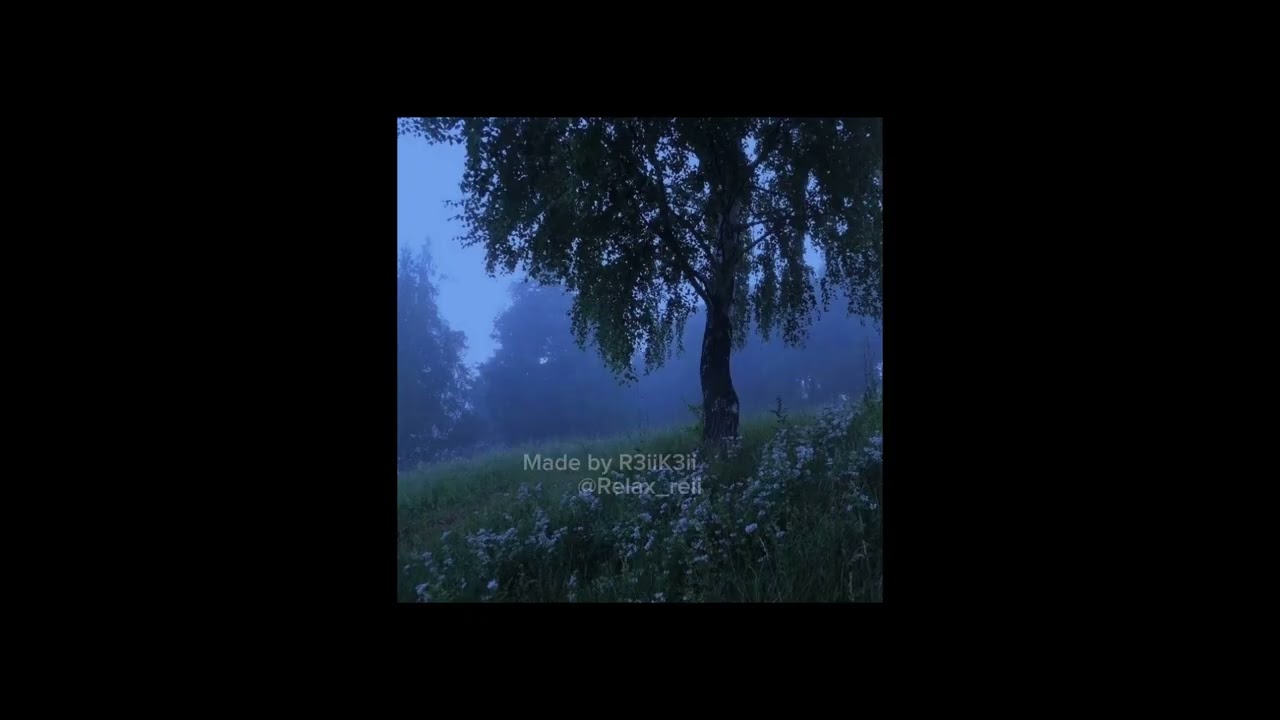 『- ̗̀✮ random playlist with my fav songs/artists!!₊˚୧‧』『+ time stamps』