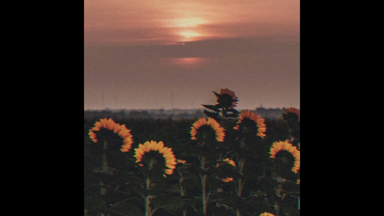 dead flowers grow in the snow YouTube