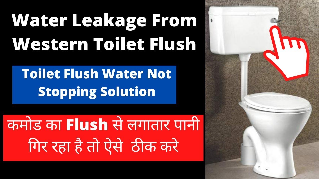 Water Leakage From Western Toilet Flush I Toilet Flush Leaking Problem I  Toilet Flush Repair - YouTube