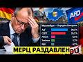 Партию Мерца выгнали из парламента впервые за всю исто