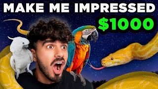 People Try To Impress Me For $1,000 - You Decide Who Wins