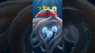Octopus के 3 दिल होते हैं. लेकिन swimming करते वक्त 1 बंद हो जाता है 😨🐙 Shocking Animal Fact #shorts