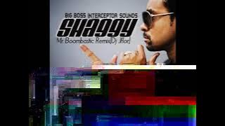 Shaggy - Mr Boombastic Remix[Dj Jflor ft. Dj Jomar]