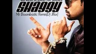 Shaggy - Mr Boombastic Remix[Dj Jflor ft. Dj Jomar]
