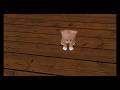 Was my Real cat Jealous of my Virtual Kitten???    Comment Below what you think!!!