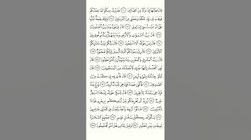 سورة الشعراء ياسر الدوسري #ياسر_الدوسري.      تجويد القران الكريم راقي من الشيخ ياسر الدوسري