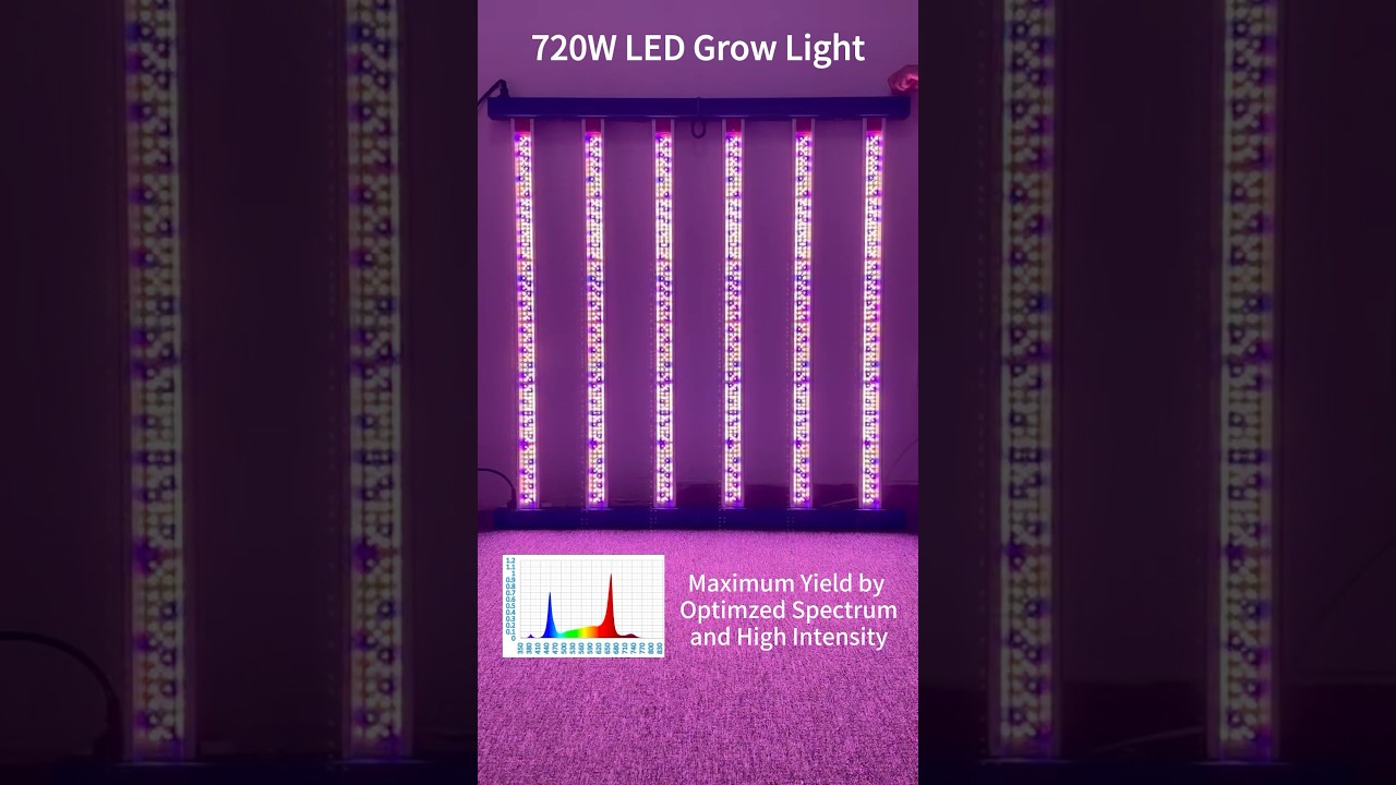 720W LED Grow Light 