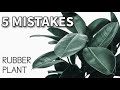 5 MISTAKES SA PAG-AALAGA NG RUBBER PLANT | Plant Care for Beginners