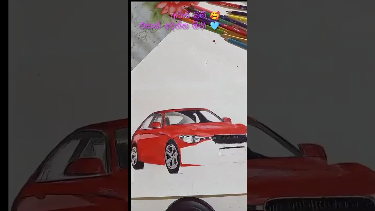 Color pictures🥰🇱🇰 ලස්සනයි නම් like කරන්න 🥰💙 
