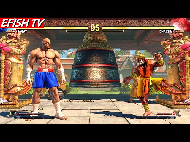 Sagat vs Dhalsim (Hardest AI) - Street Fighter V class=