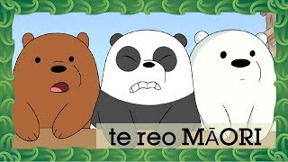 We Bare Bears | Potty Time (Māori) | Cartoon Network