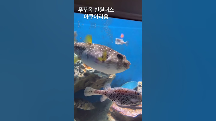 푸꾸옥 빈원더스 아쿠아리움