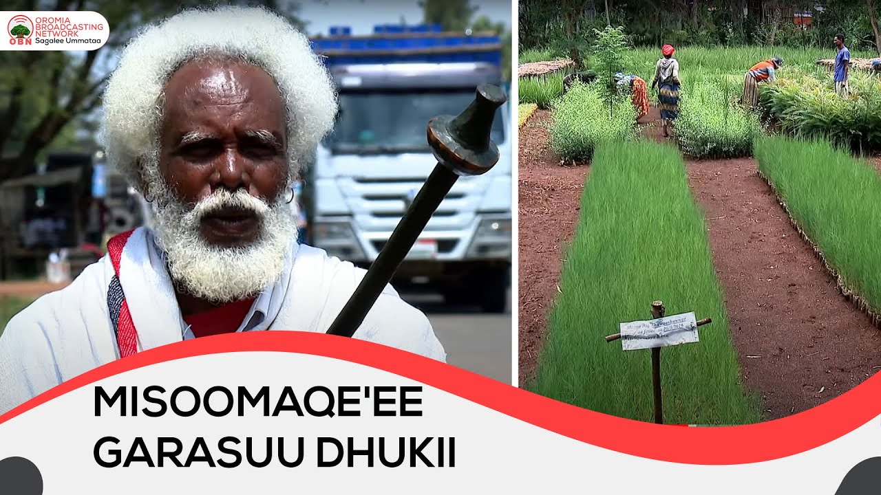 Qe'ee Garasuu Dhukii