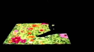 Kinect interactive floor by Alter Vision Group