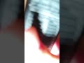 ちょっとそこのモンスターください