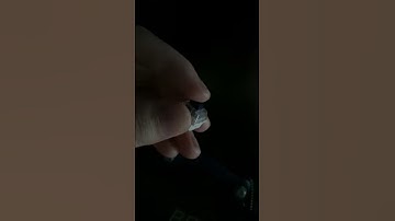 Kailh Box Navy Clicky Keyboard Switch