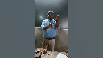 #POTATO AND KNIFE EXPERIMENT law of inertia viral physics experiment