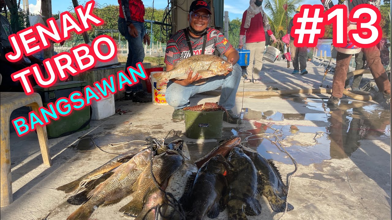 KOLAM BANGSAWAN - Group Naga Menangis Gasakkkk DRAGON Hawauuu 🦞😆🏆 #grouper