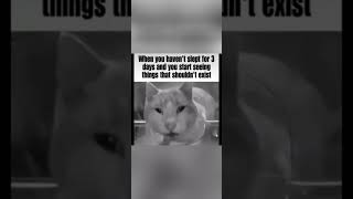Capcut memes: The cure to boredom 12