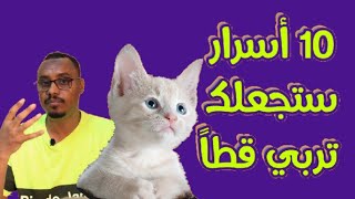 أغرب فوائد تربية القطط Cat care