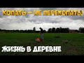 Где грибы ?!   Копать – не перекопать!  [Жизнь в деревне]