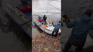 #таймень #большой таймень