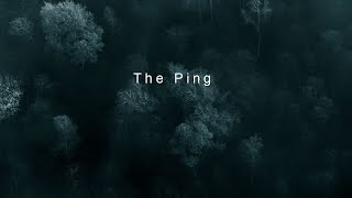 Paul Kwitek - The Ping