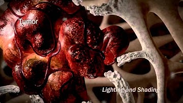 Lighting, Shading & Compositing Demo Reel 02/12 - Fred Lewis - Moving Media