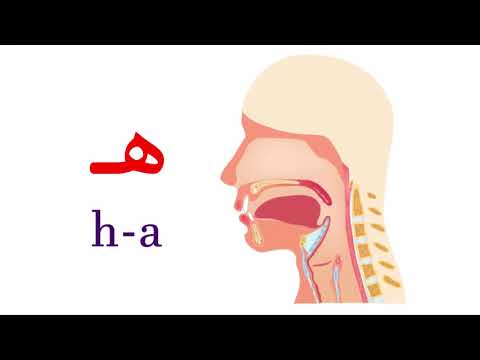 نطق حرف الهاء
