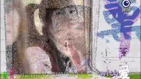 Brown Sugar Macchiato Taiwanese Drama- Lollipop and Hei Se Hui Mei Mei OST