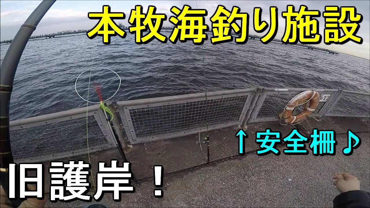 本牧海釣り施設の仕掛けや釣り方 釣れる魚 ﾎﾟｲﾝﾄ 釣果 要ｺﾛﾅ対策 護岸工事臨時休館中 趣味と暮らしのお役立ちブログ