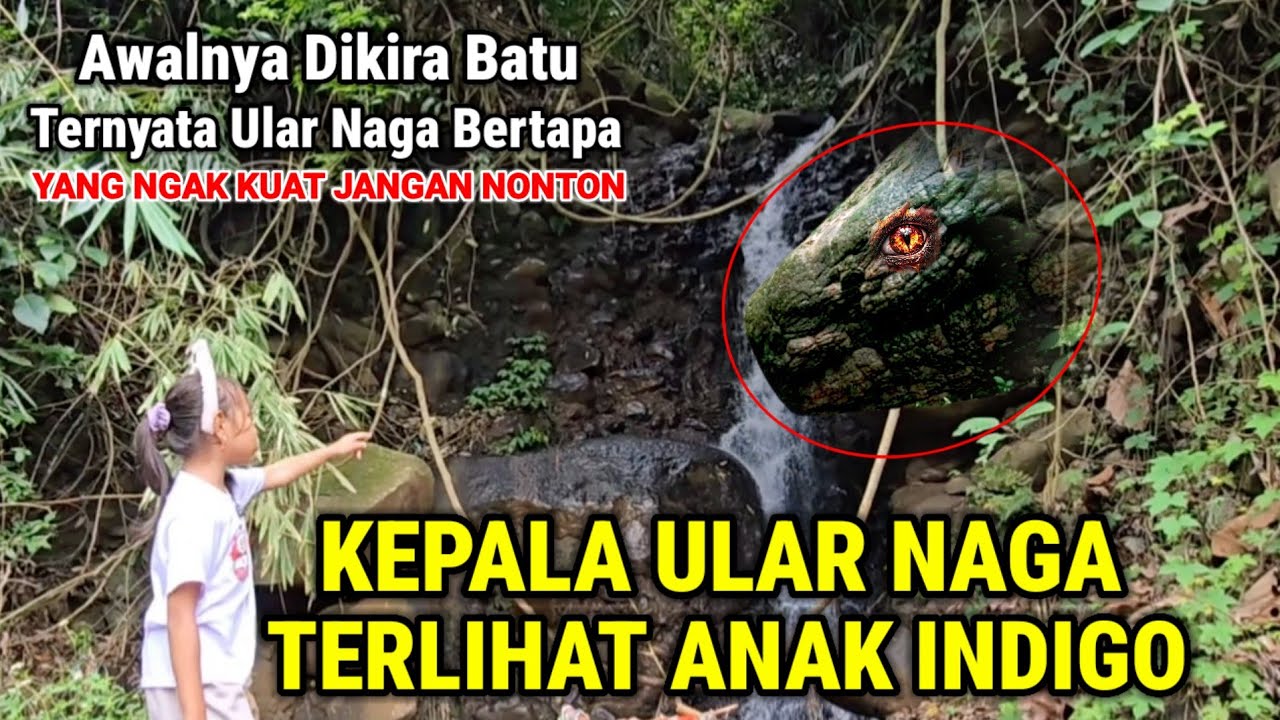Ngeri !! Awalnya Dikira Batu Ternyata Ular Naga Bertapa Menjadi Batu Terlihat Anak Indigo