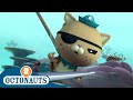 Octonauts - Fishes and Other Sea Creatures | Cartoons for Kids | Underwater Sea Education