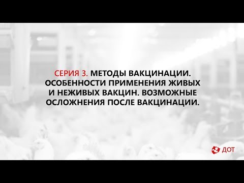 Видео: Нюкасълска вирусна инфекция при птици