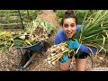 Growing a Years Worth of Garlic | How and When to Harvest and Cure Garlic