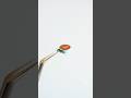 ClayArt | Miniature Café Latte | 樹脂粘土でつくるミニチュアのカフェラテ　#miniature #miniaturefood #ミニチュア