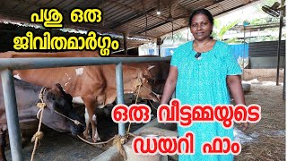 മിനി ചേച്ചിയുടെ ഡയറി ഫാം | dairy farming in kerala|dairy farming in kerala malayalam| ക്ഷീര കർഷക