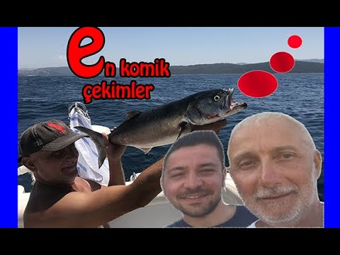 karma rx videos menajerimi ara son bölüm izle