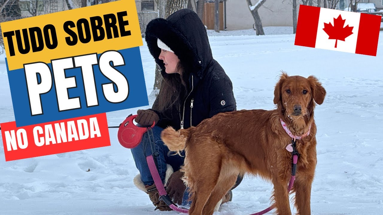 Tudo Sobre Cuidados com Animais no Canadá