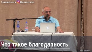 Торсунов О.Г.  Что такое благодарность