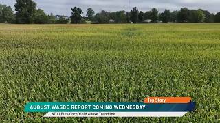Market Braces for August WASDE